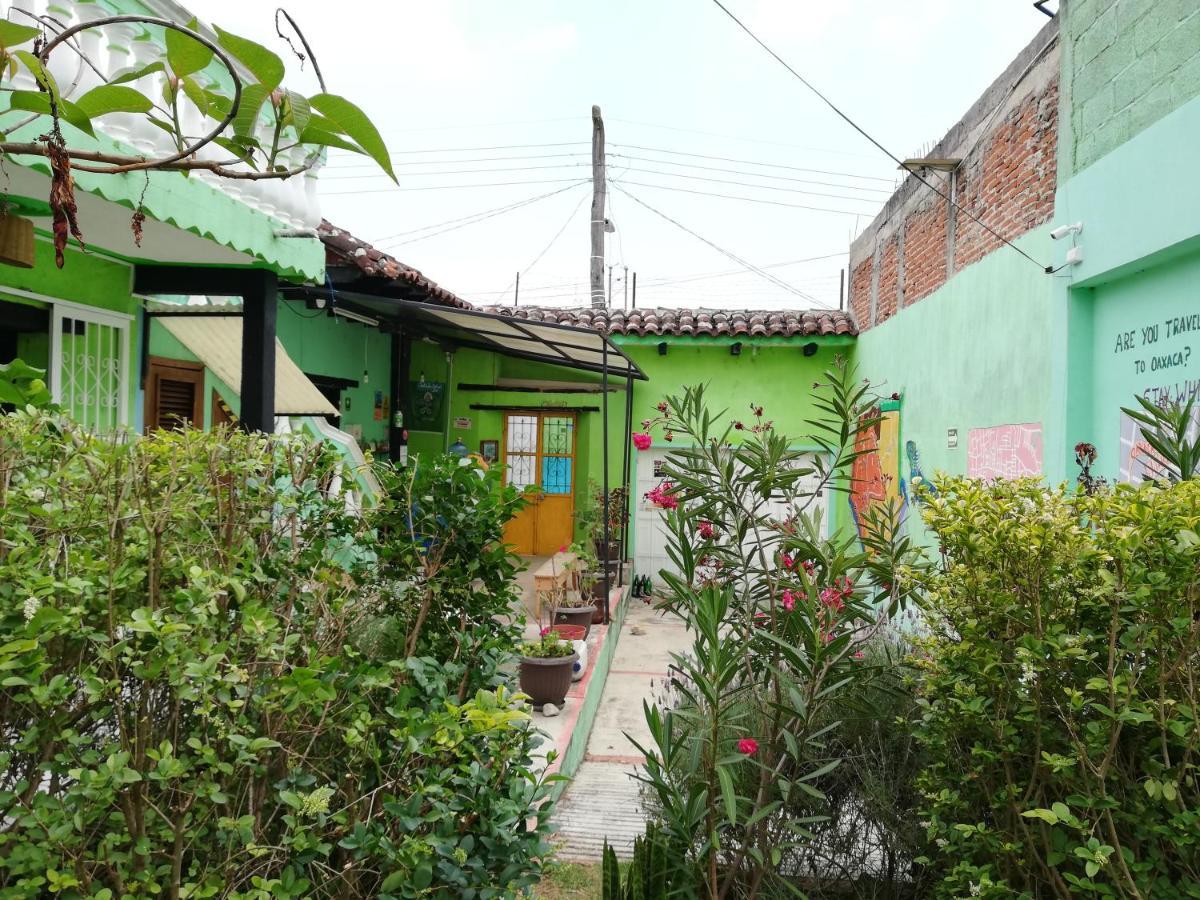 Iguana Hostel San Cristóbal de Las Casas Extérieur photo